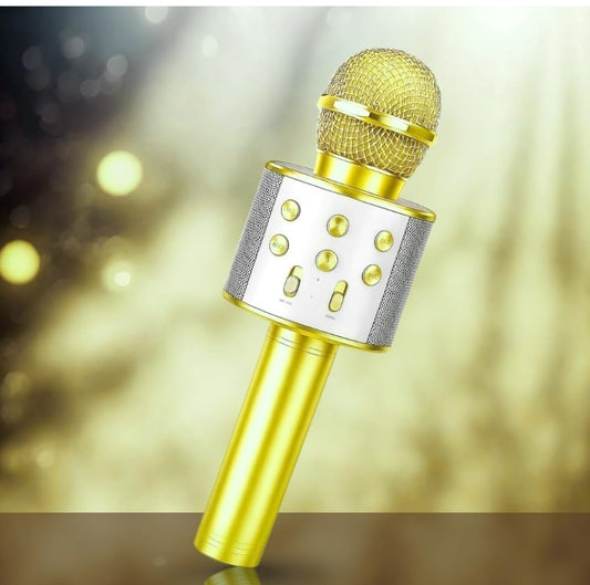 Rechargeable Karaoke Mic for Kids Wireless Bluetooth Mike for Singing, Practice Microphone for Kids, Music Singing